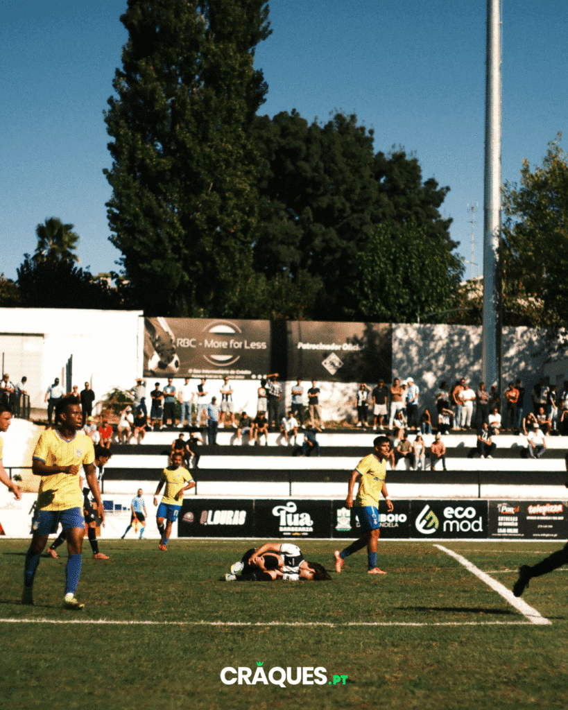 Galeria 13