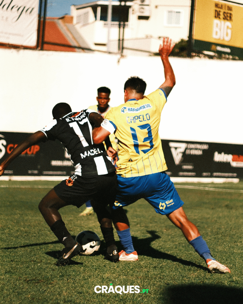 Galeria 15