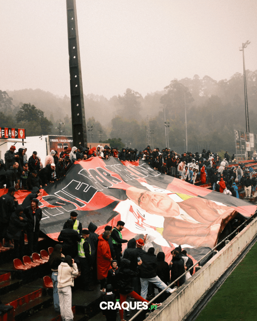 Galeria 5