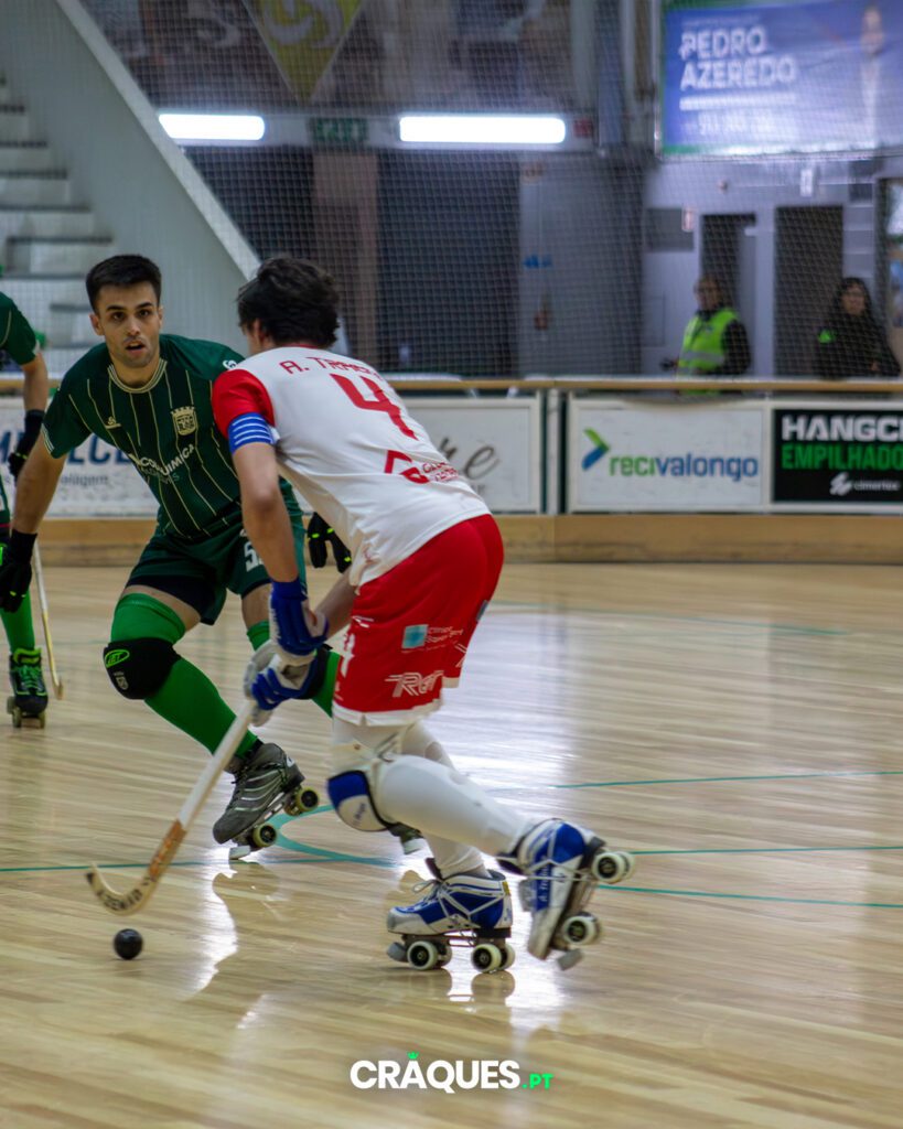 Galeria 20