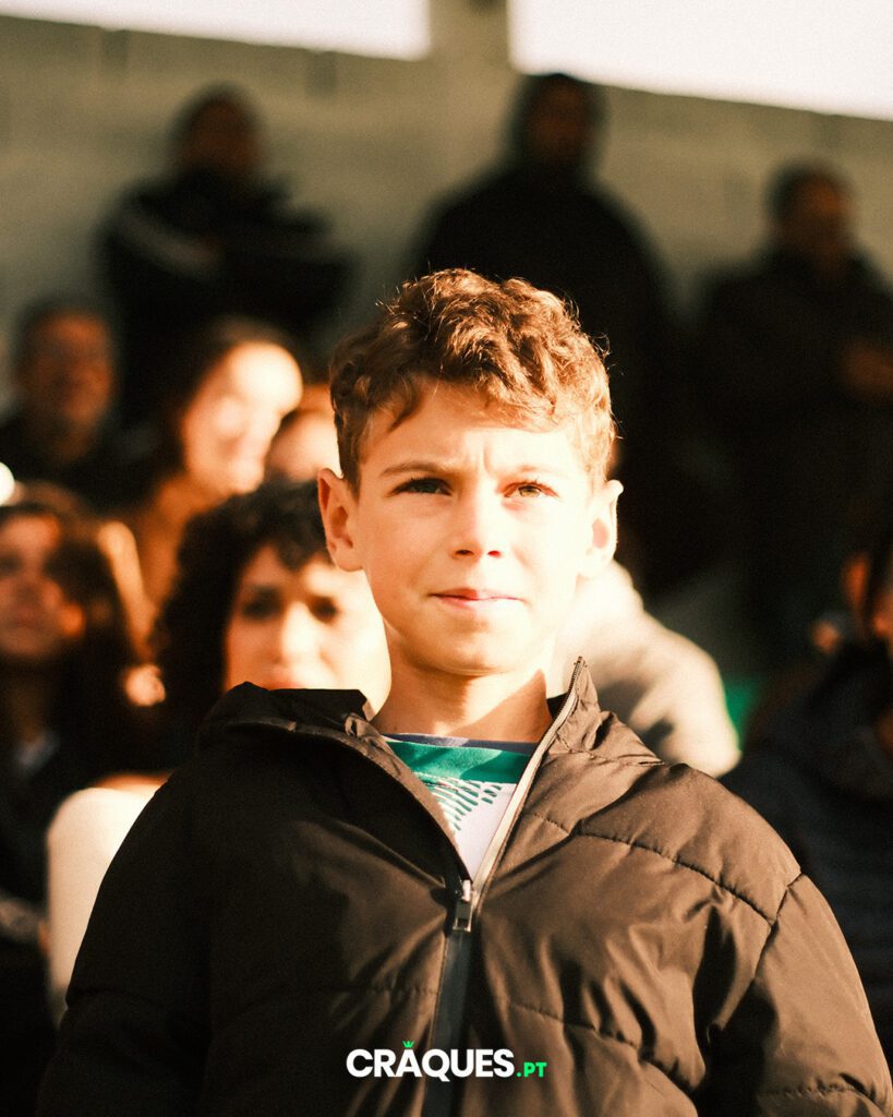 Galeria 223