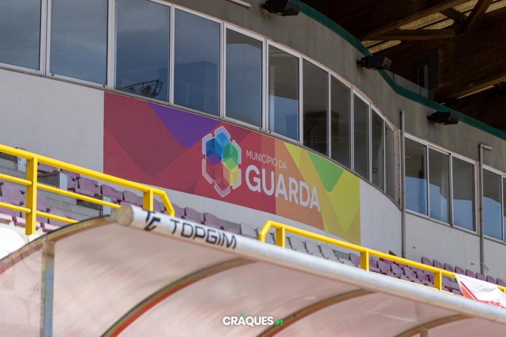 Galeria 11