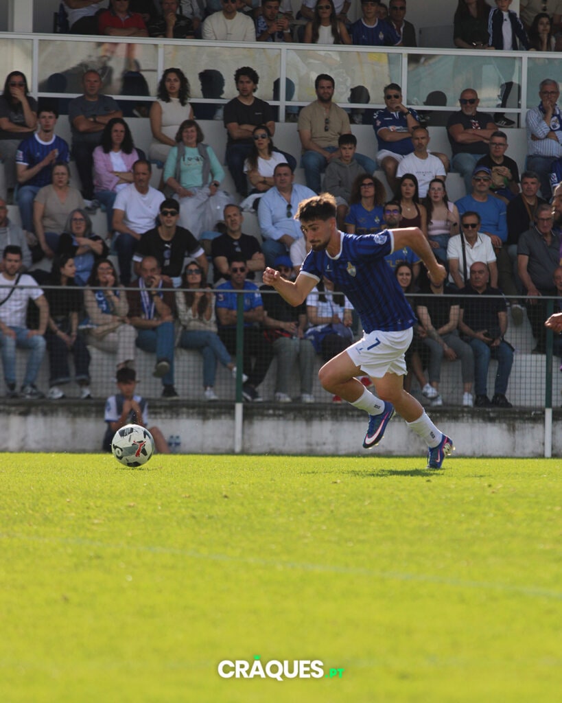 Galeria 11