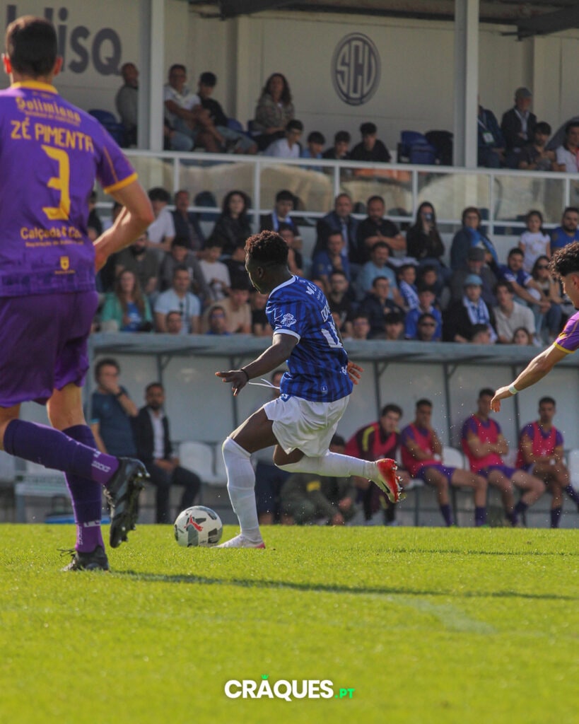 Galeria 12
