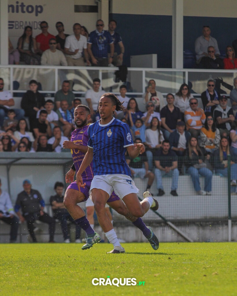 Galeria 14