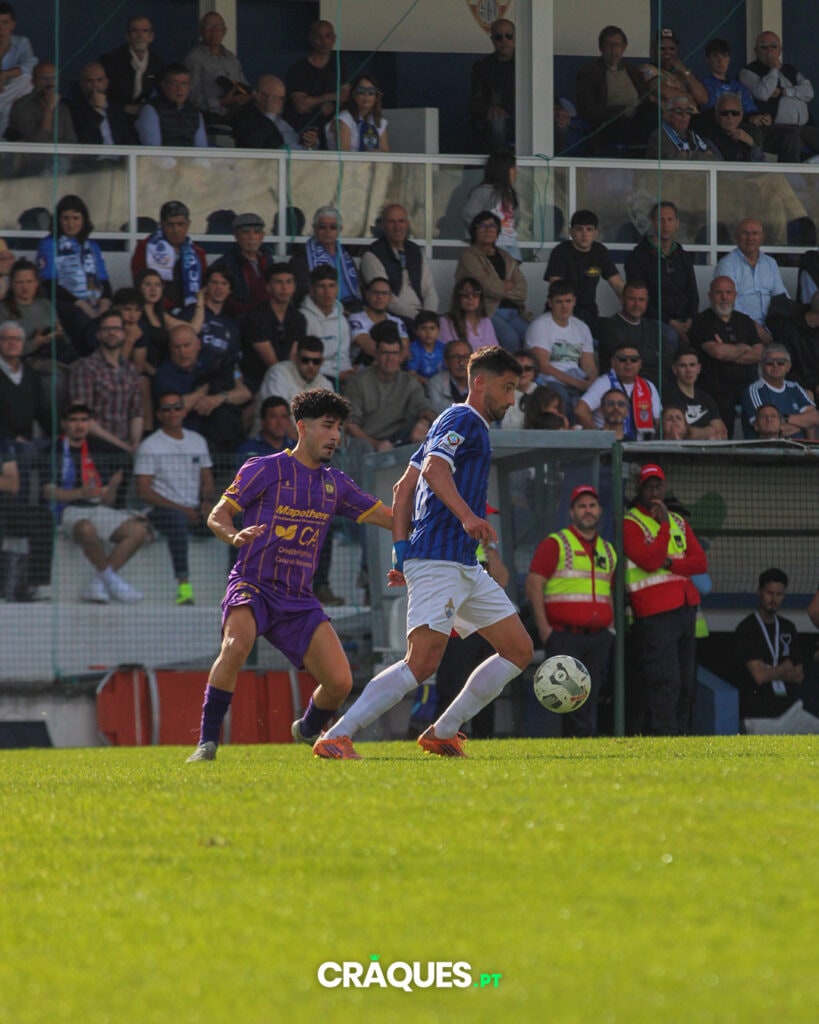 Galeria 15